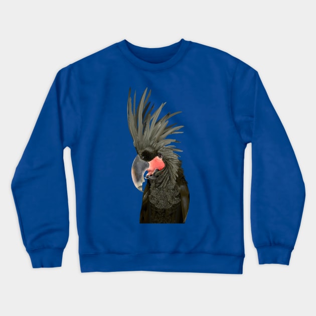 Black Palm Cockatoo - Maui Crewneck Sweatshirt by TheStuffInBetween